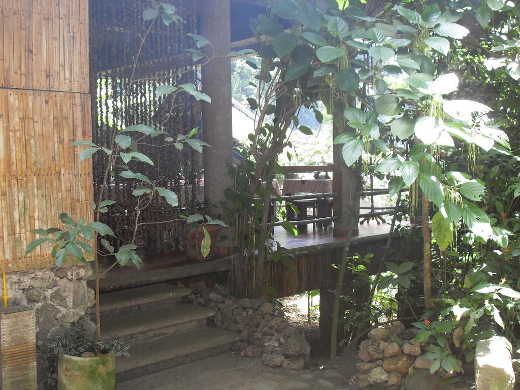 南希耶哈生态保护区酒店 卡特马科 外观 照片